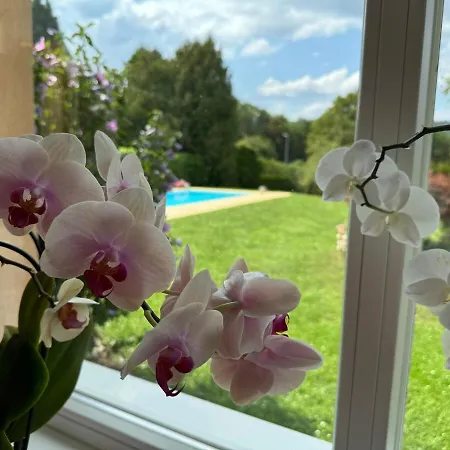 Steirische Auszeit - Feriendomizil Mit Pool Koeflach