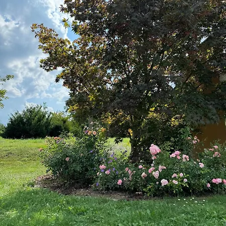 Holiday home Steirische Auszeit - Feriendomizil Mit Pool Koeflach